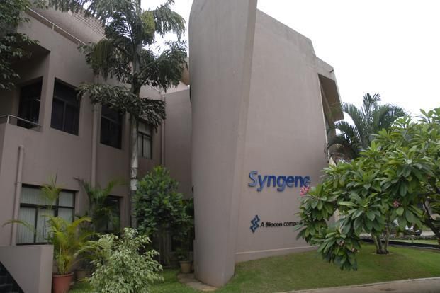 syngene-2